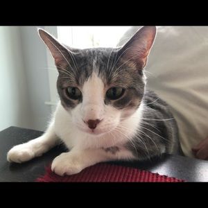 Meet your Posher, Pency